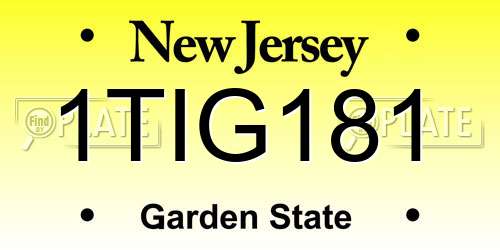 1TIG181 New Jersey License Plate
