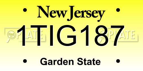 1TIG187 New Jersey License Plate