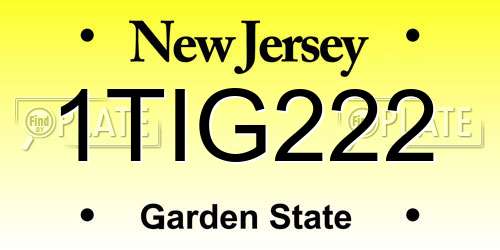 1TIG222 New Jersey License Plate