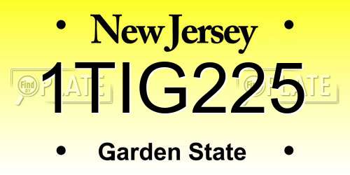 1TIG225 New Jersey License Plate