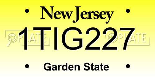 1TIG227 New Jersey License Plate