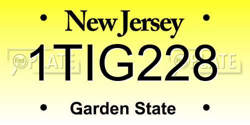 1TIG228 New Jersey License Plate
