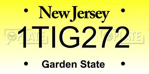 1TIG272 New Jersey License Plate