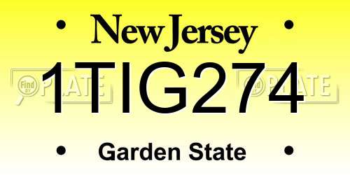 1TIG274 New Jersey License Plate