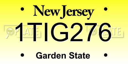 1TIG276 New Jersey License Plate