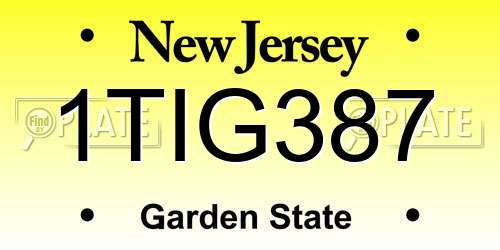 1TIG387 New Jersey License Plate