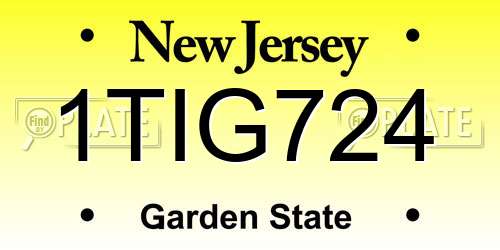 1TIG724 New Jersey License Plate