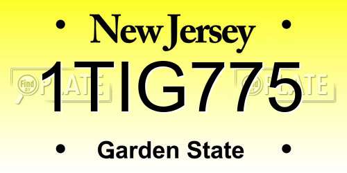 1TIG775 New Jersey License Plate