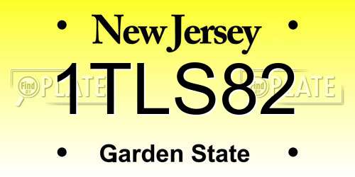 1TLS82 New Jersey License Plate