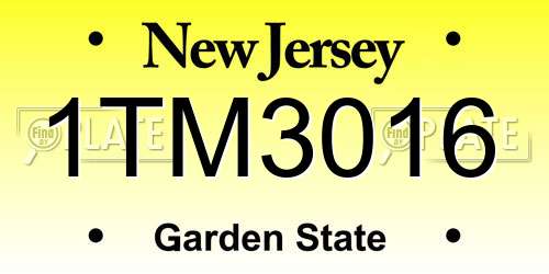 1TM3016 New Jersey License Plate