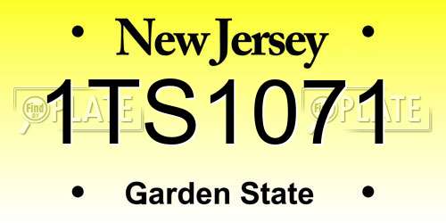 1TS1071 New Jersey License Plate