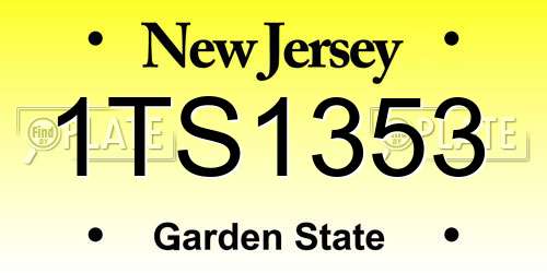 1TS1353 New Jersey License Plate