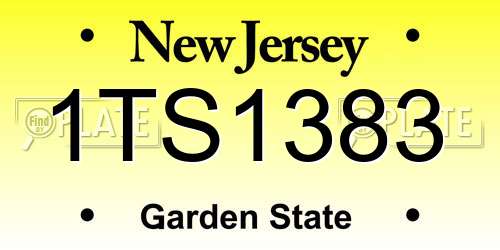 1TS1383 New Jersey License Plate