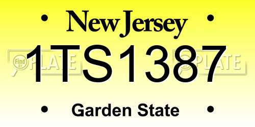 1TS1387 New Jersey License Plate