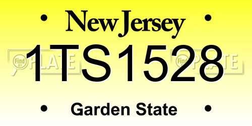 1TS1528 New Jersey License Plate