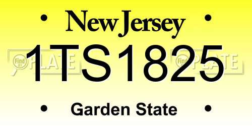 1TS1825 New Jersey License Plate