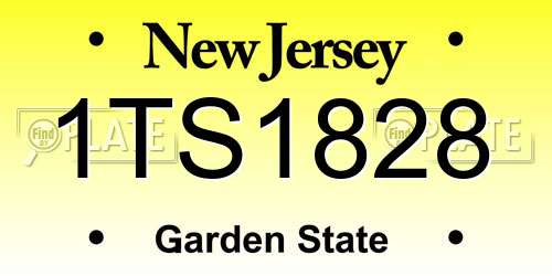 1TS1828 New Jersey License Plate
