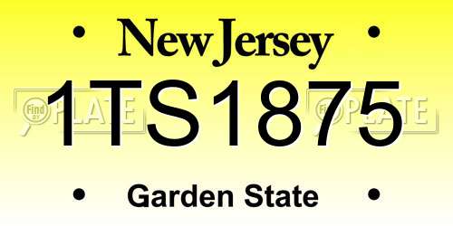 1TS1875 New Jersey License Plate