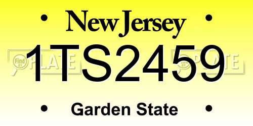 1TS2459 New Jersey License Plate
