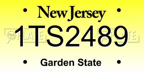 1TS2489 New Jersey License Plate