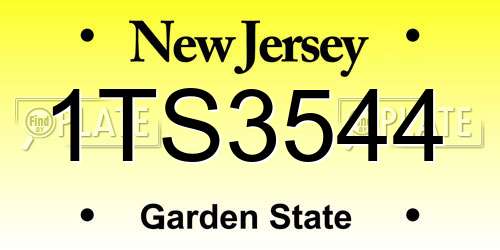 1TS3544 New Jersey License Plate