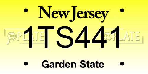 1TS441 New Jersey License Plate