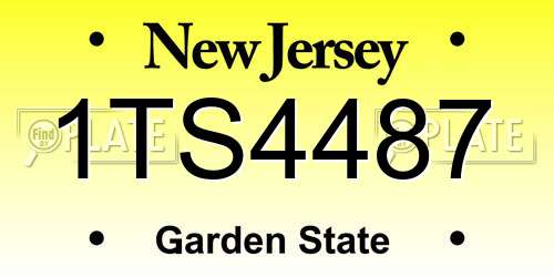 1TS4487 New Jersey License Plate