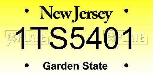 1TS5401 New Jersey License Plate