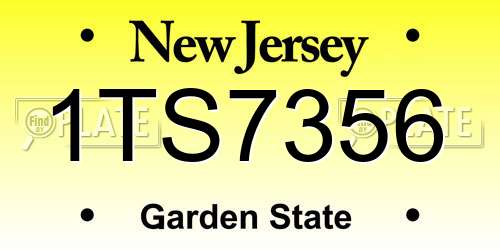 1TS7356 New Jersey License Plate