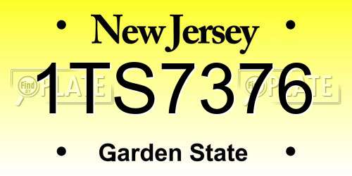 1TS7376 New Jersey License Plate