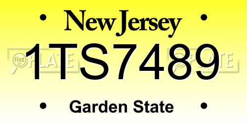 1TS7489 New Jersey License Plate