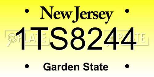 1TS8244 New Jersey License Plate
