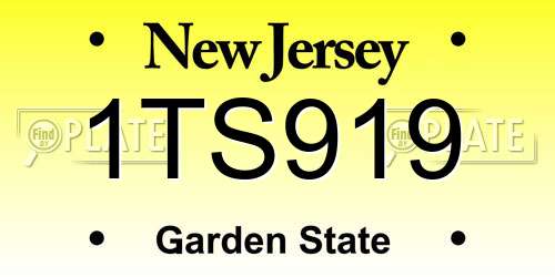 1TS919 New Jersey License Plate