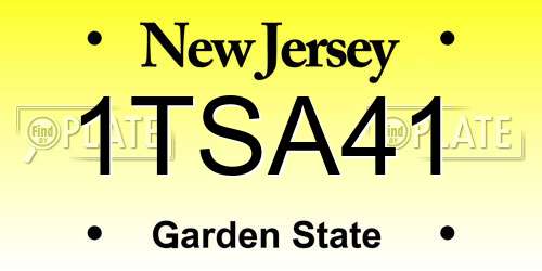 1TSA41 New Jersey License Plate