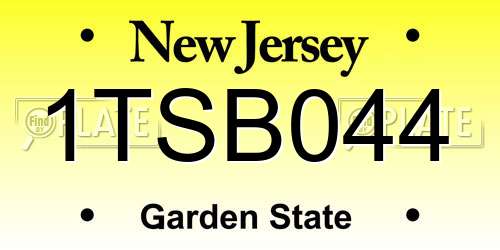 1TSB044 New Jersey License Plate