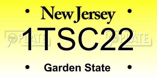 1TSC22 New Jersey License Plate