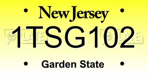 1TSG102 New Jersey License Plate