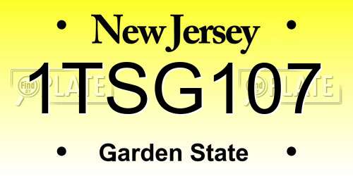 1TSG107 New Jersey License Plate