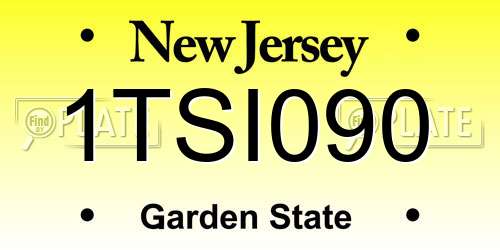 1TSI090 New Jersey License Plate