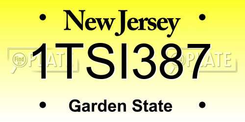 1TSI387 New Jersey License Plate