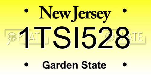 1TSI528 New Jersey License Plate