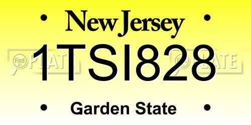 1TSI828 New Jersey License Plate