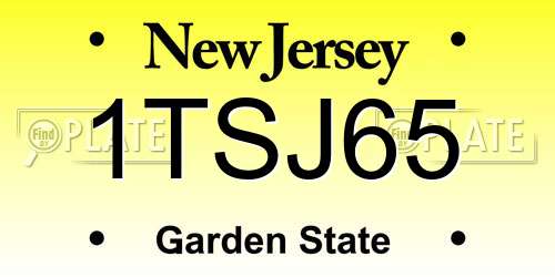 1TSJ65 New Jersey License Plate