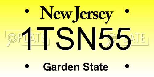 1TSN55 New Jersey License Plate