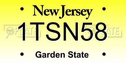 1TSN58 New Jersey License Plate