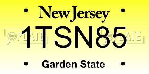 1TSN85 New Jersey License Plate