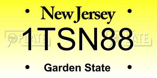 1TSN88 New Jersey License Plate