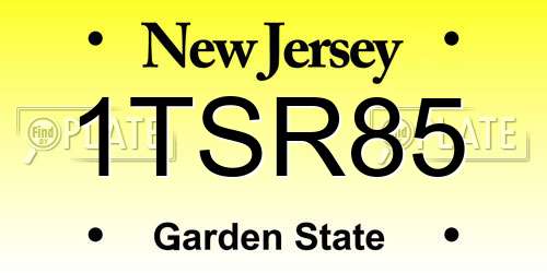 1TSR85 New Jersey License Plate