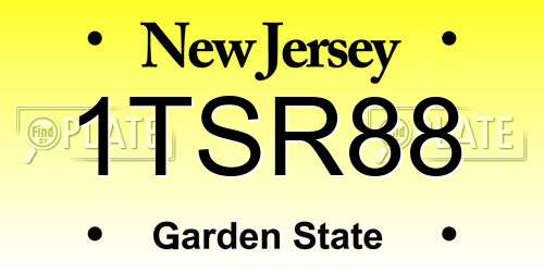1TSR88 New Jersey License Plate