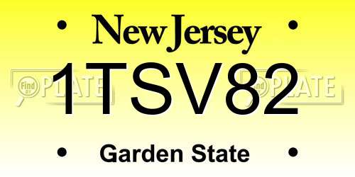 1TSV82 New Jersey License Plate